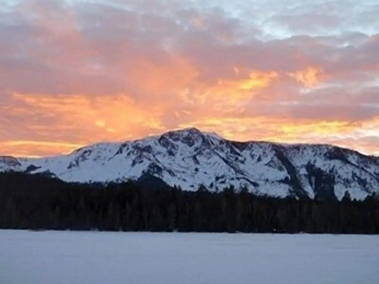 1712 Venice Drive by RedAwning