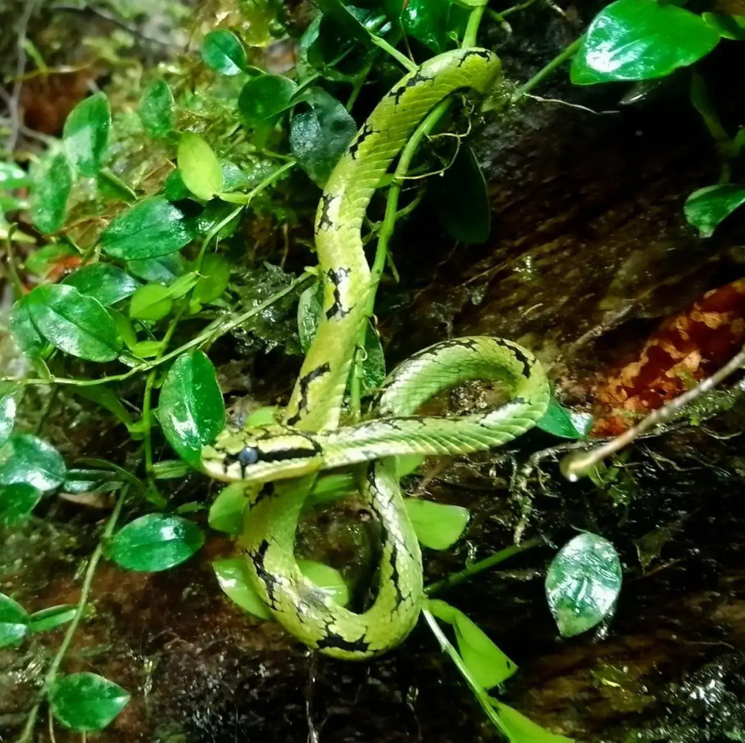 Deniyaya Guest House