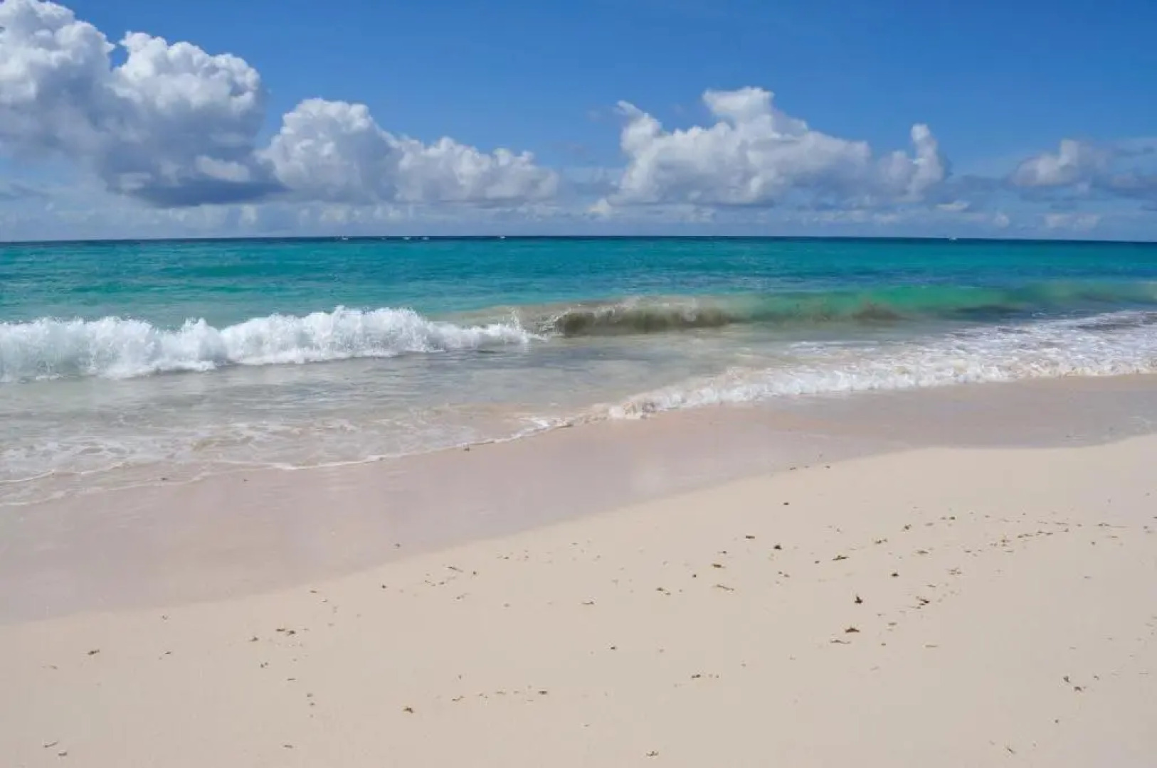 Green Garden Apartment