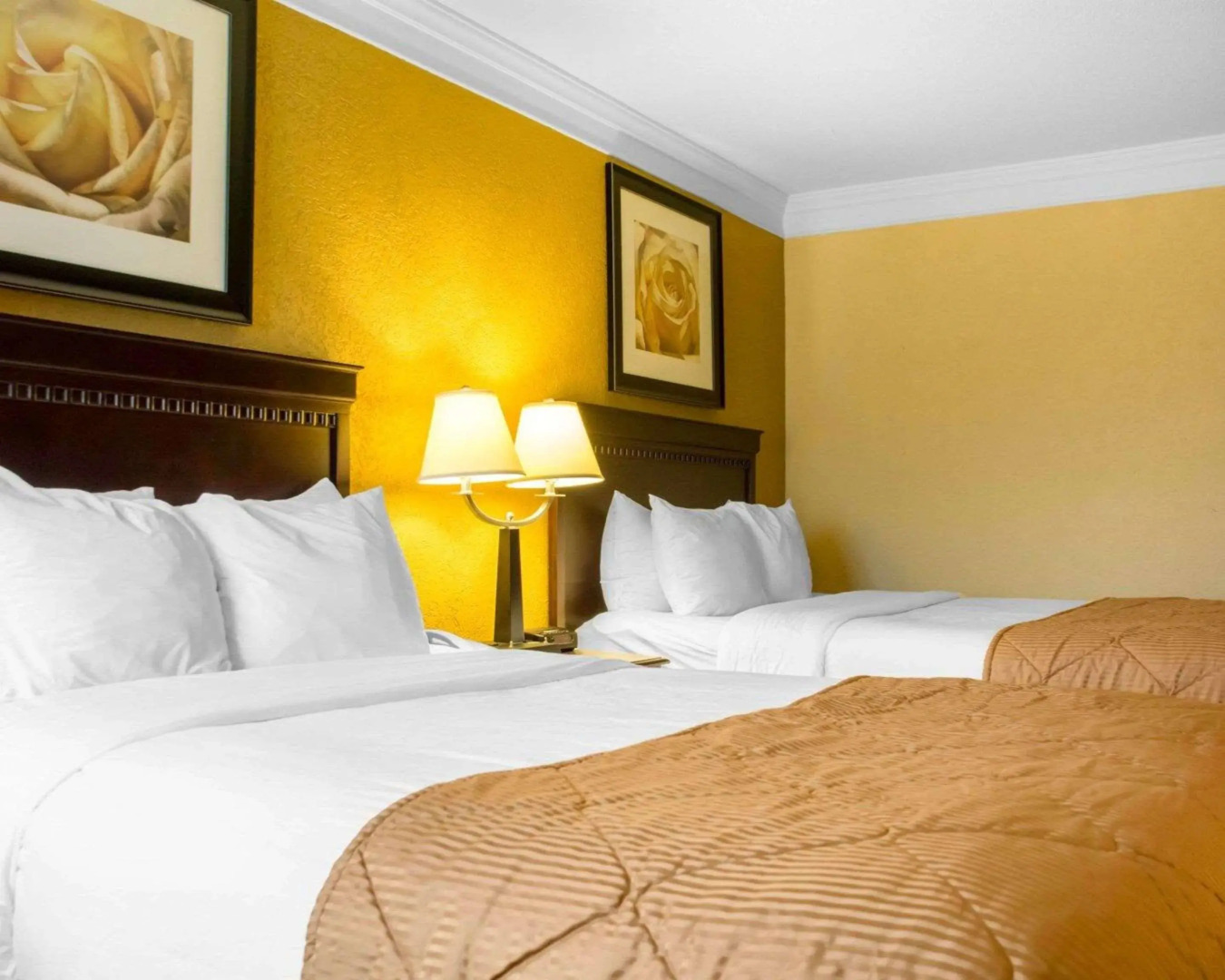 Quality Inn & Suites Syracuse Fairgrounds