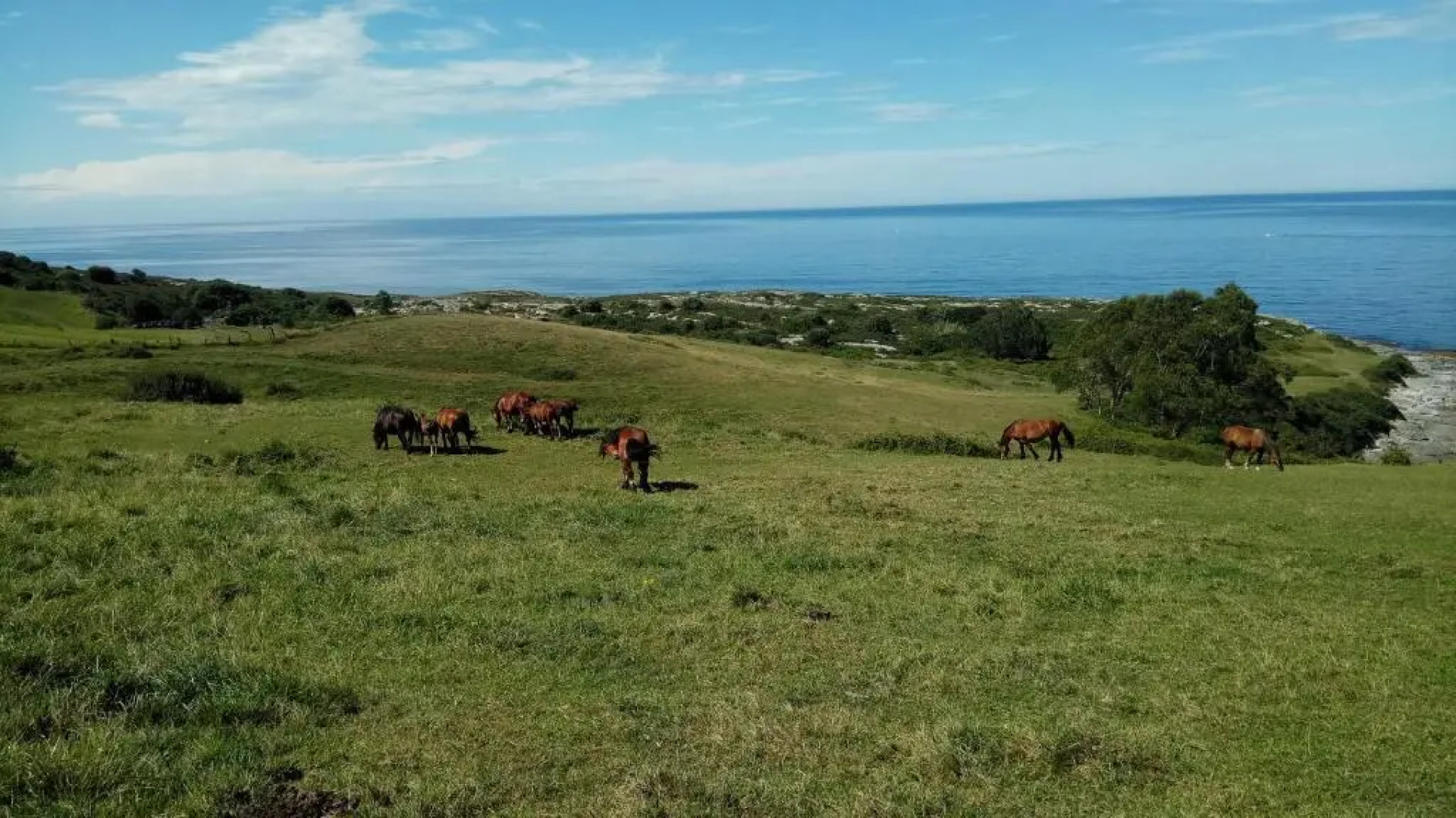 Posada Punta Liñera