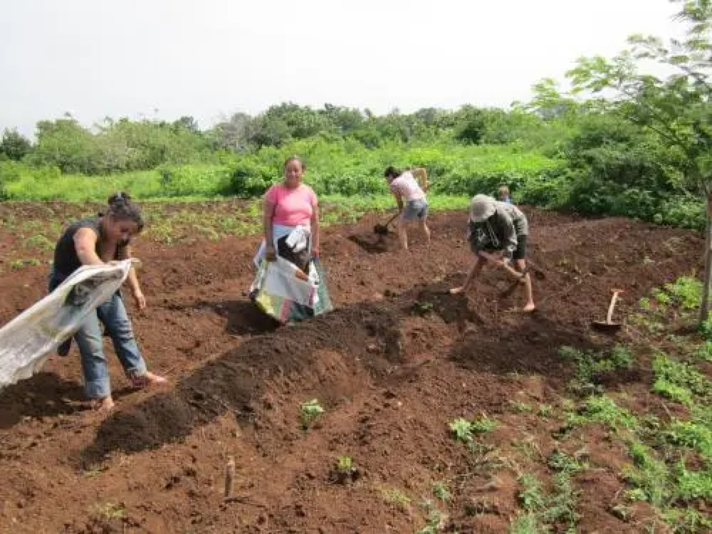 Finca Joco Mico - Nicaragua Farmstay and Adventures