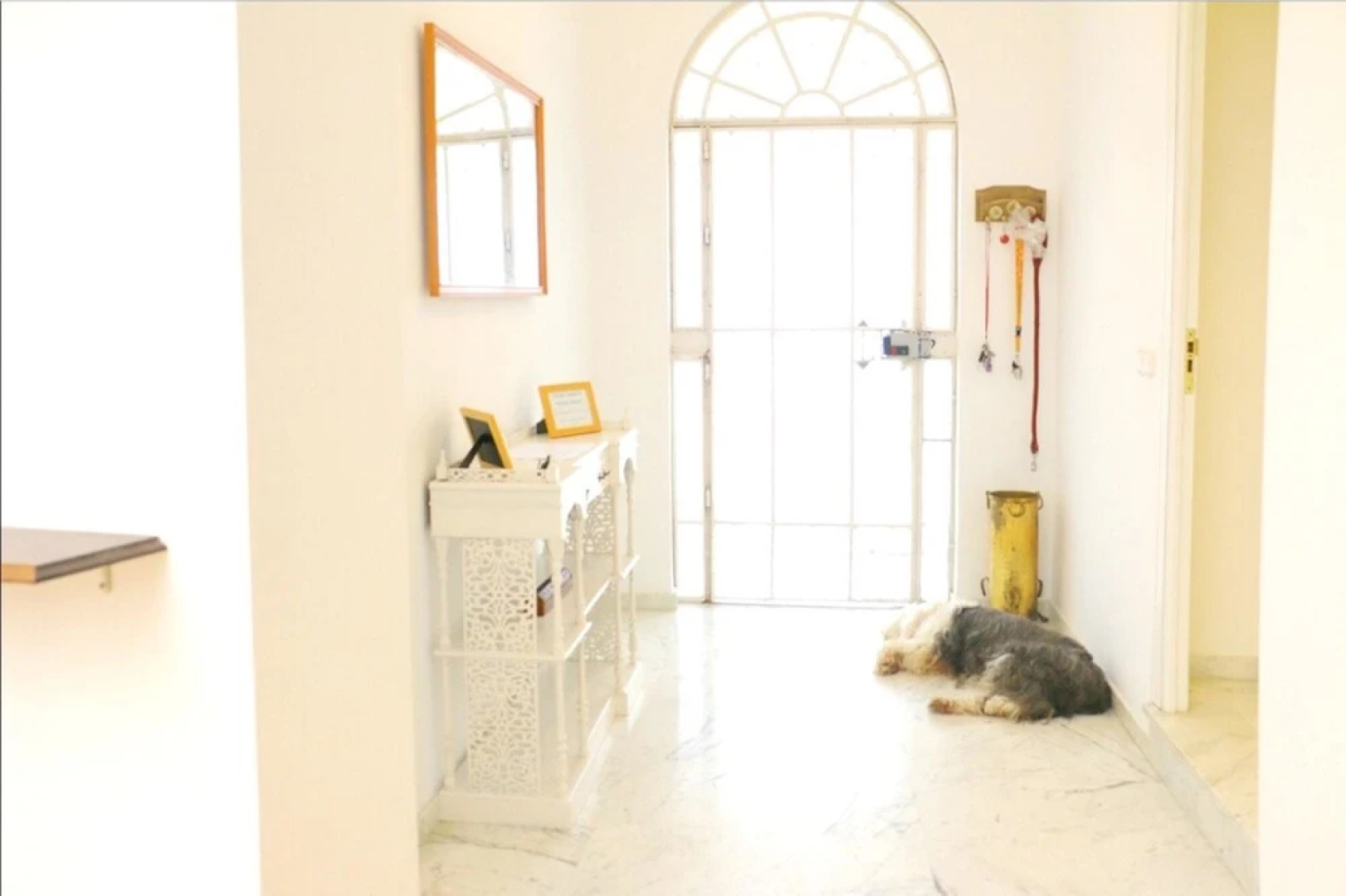 House With 5 Bedrooms in Alcalá de los Gazules, With Wonderful City Vi