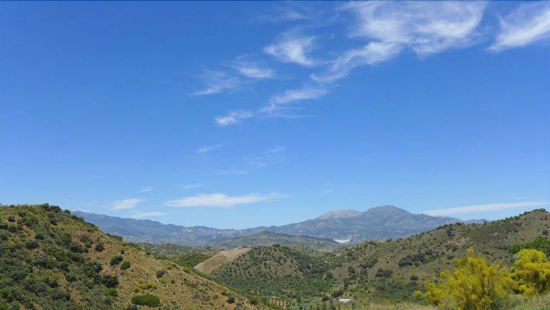 Corazón Andaluz Guesthouse