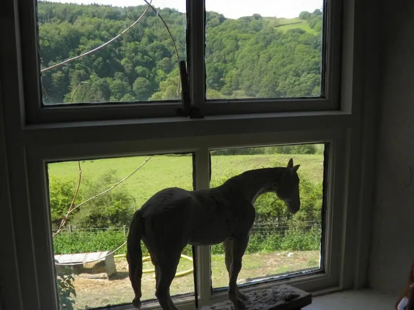 Ty Coch Farm B and B