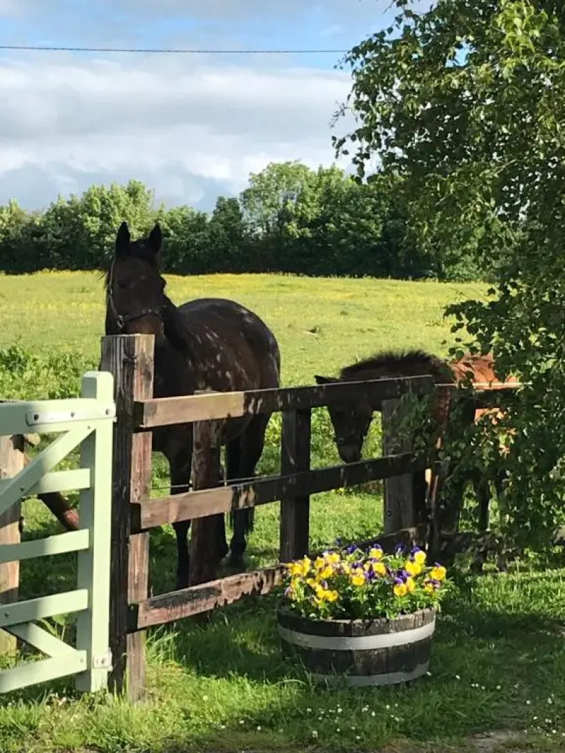 Rossmanagher Country House