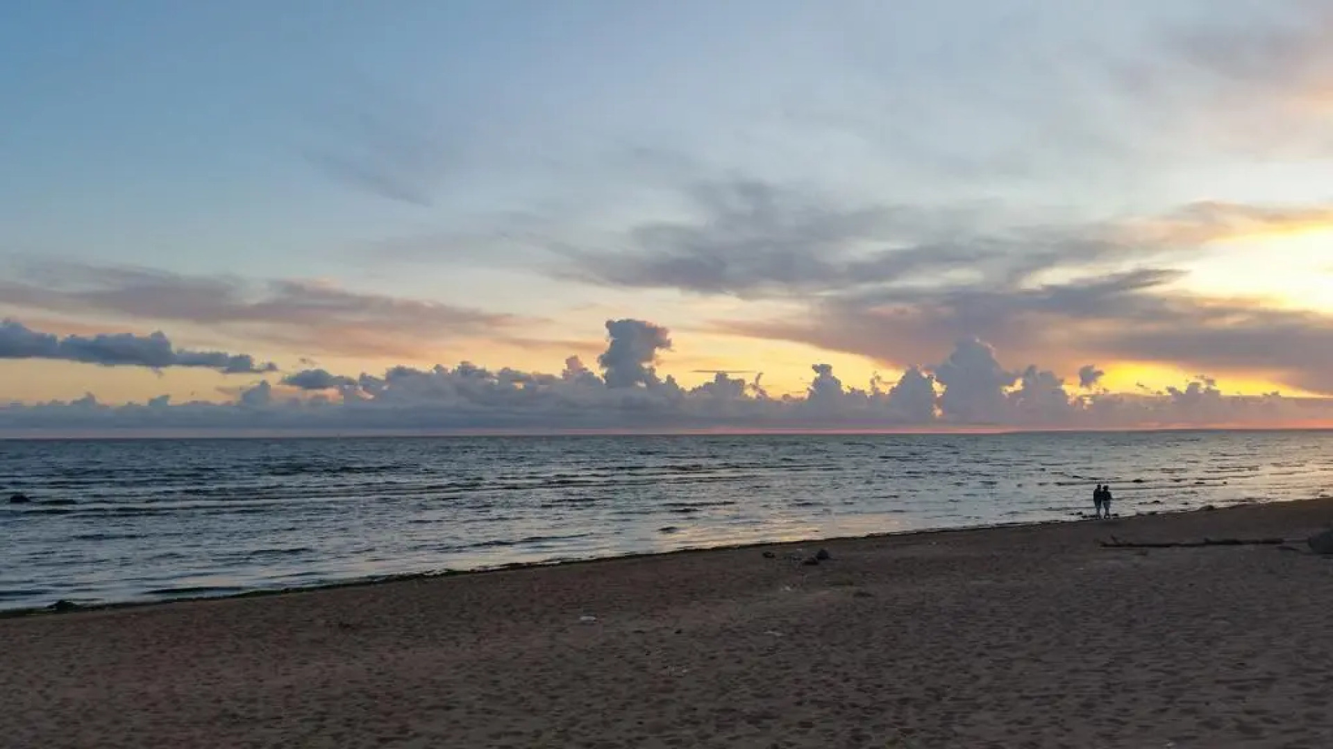 Коттеджи в Репино