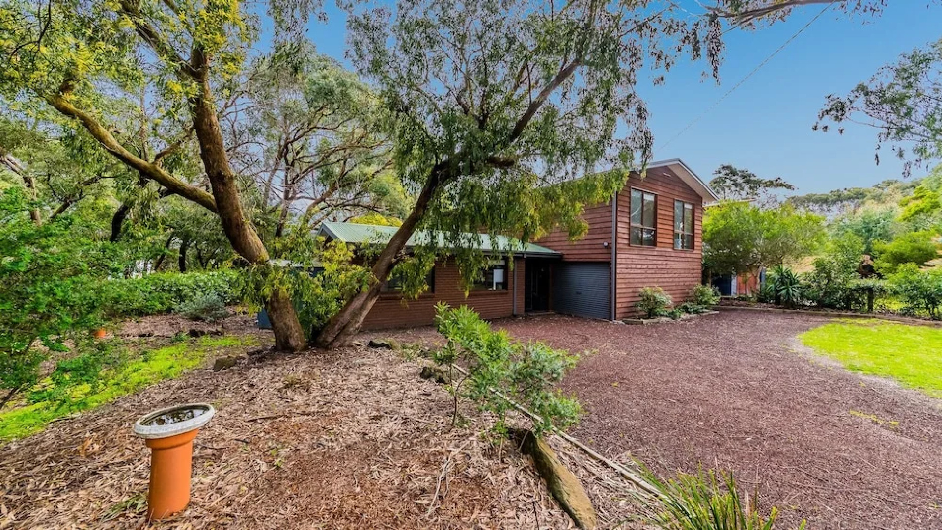 Florida Trees - Surf Side