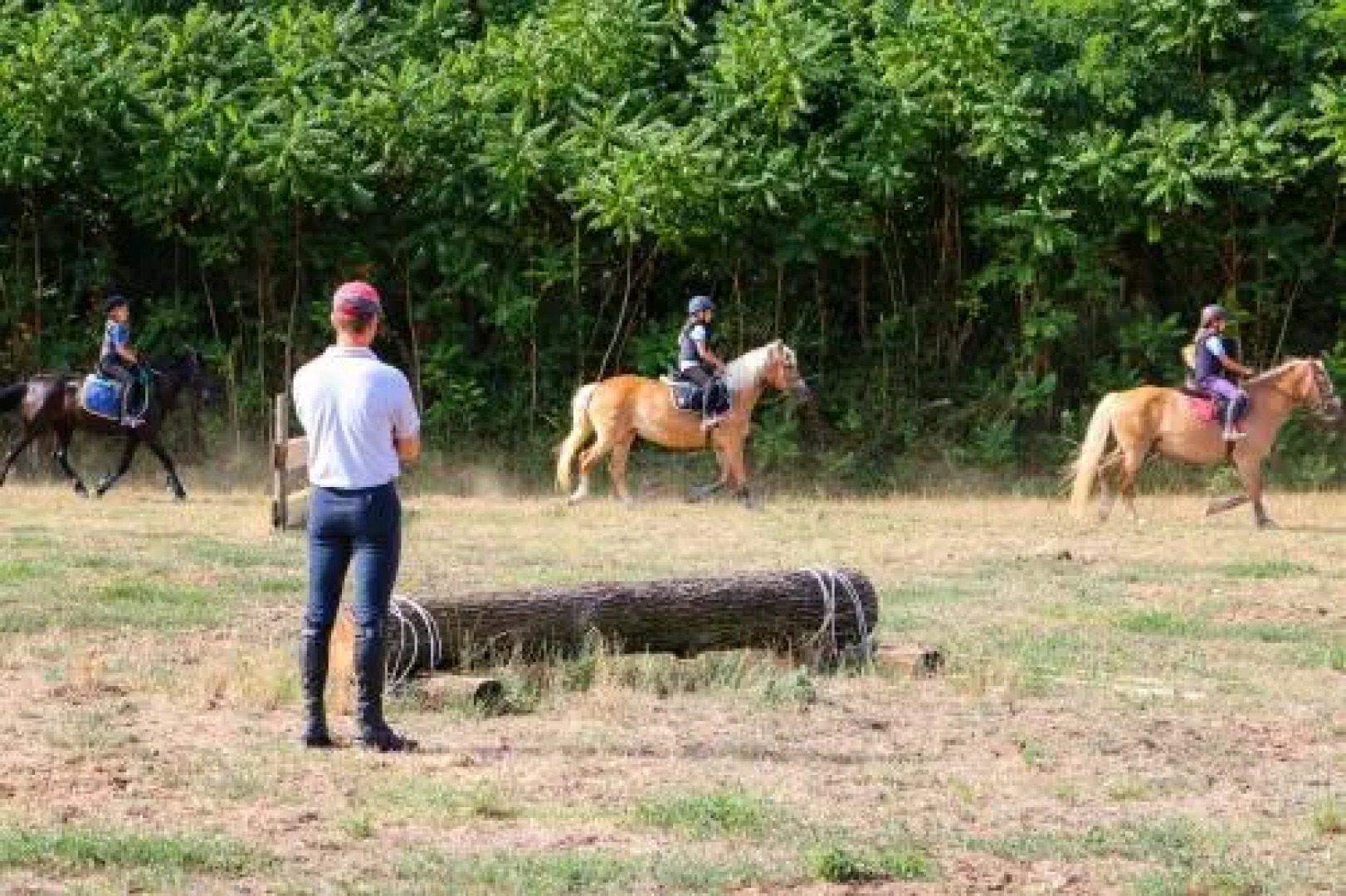 Agriturismo Cascina Le Volpi