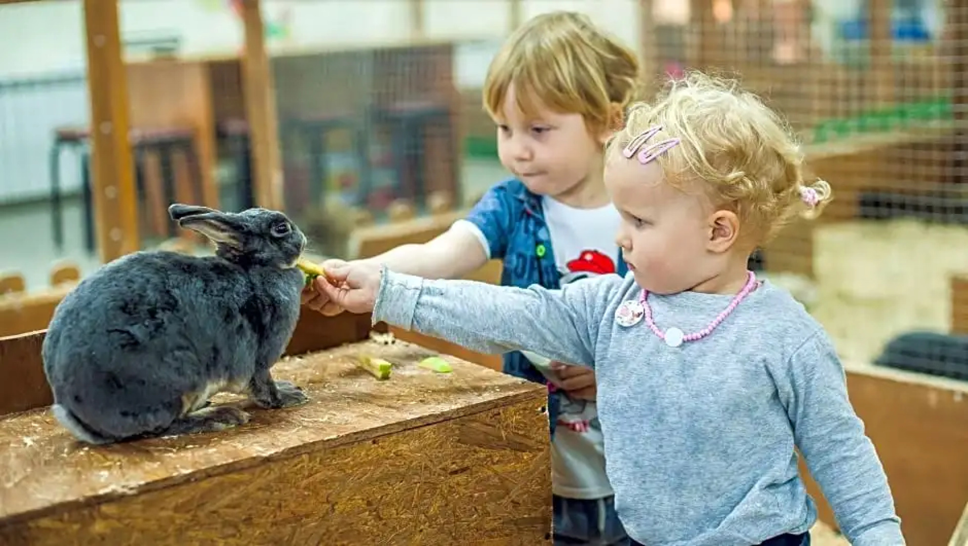 Best Budget Inn Sandusky