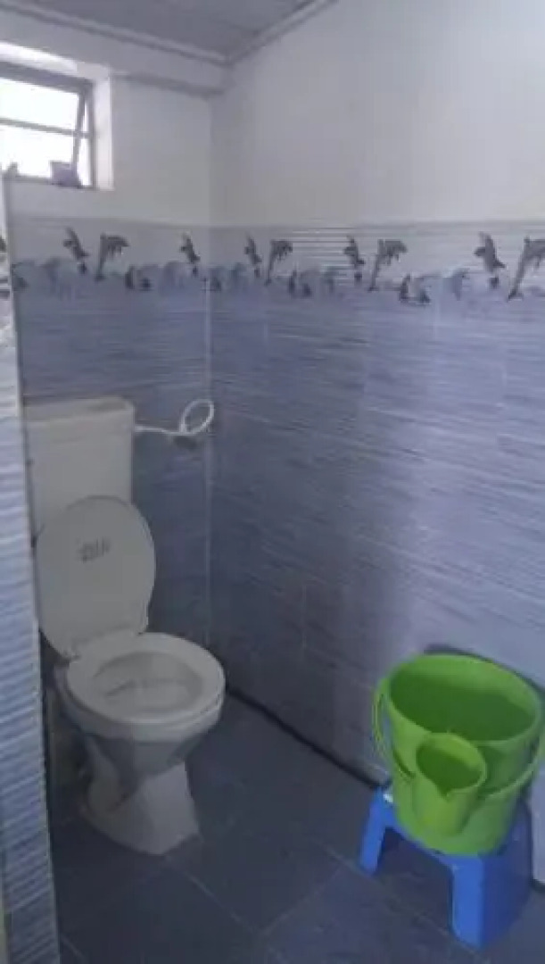 Vamoosetrail Singell