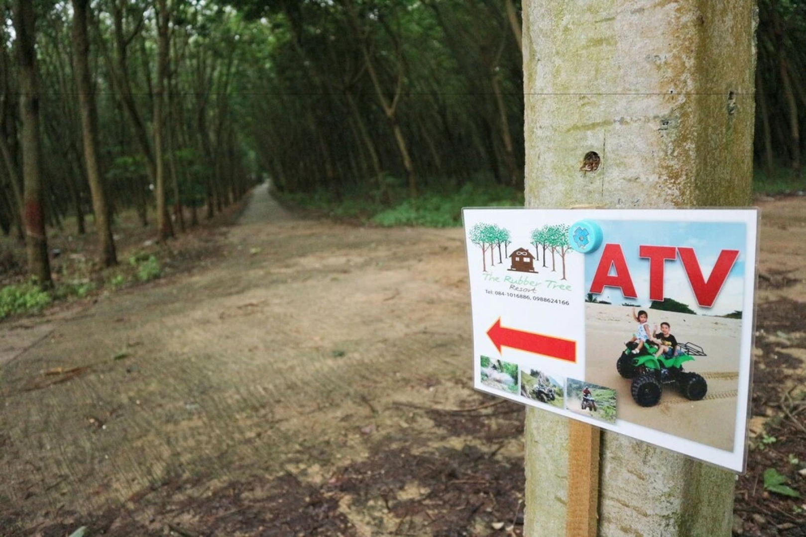 The Rubber Tree Resort