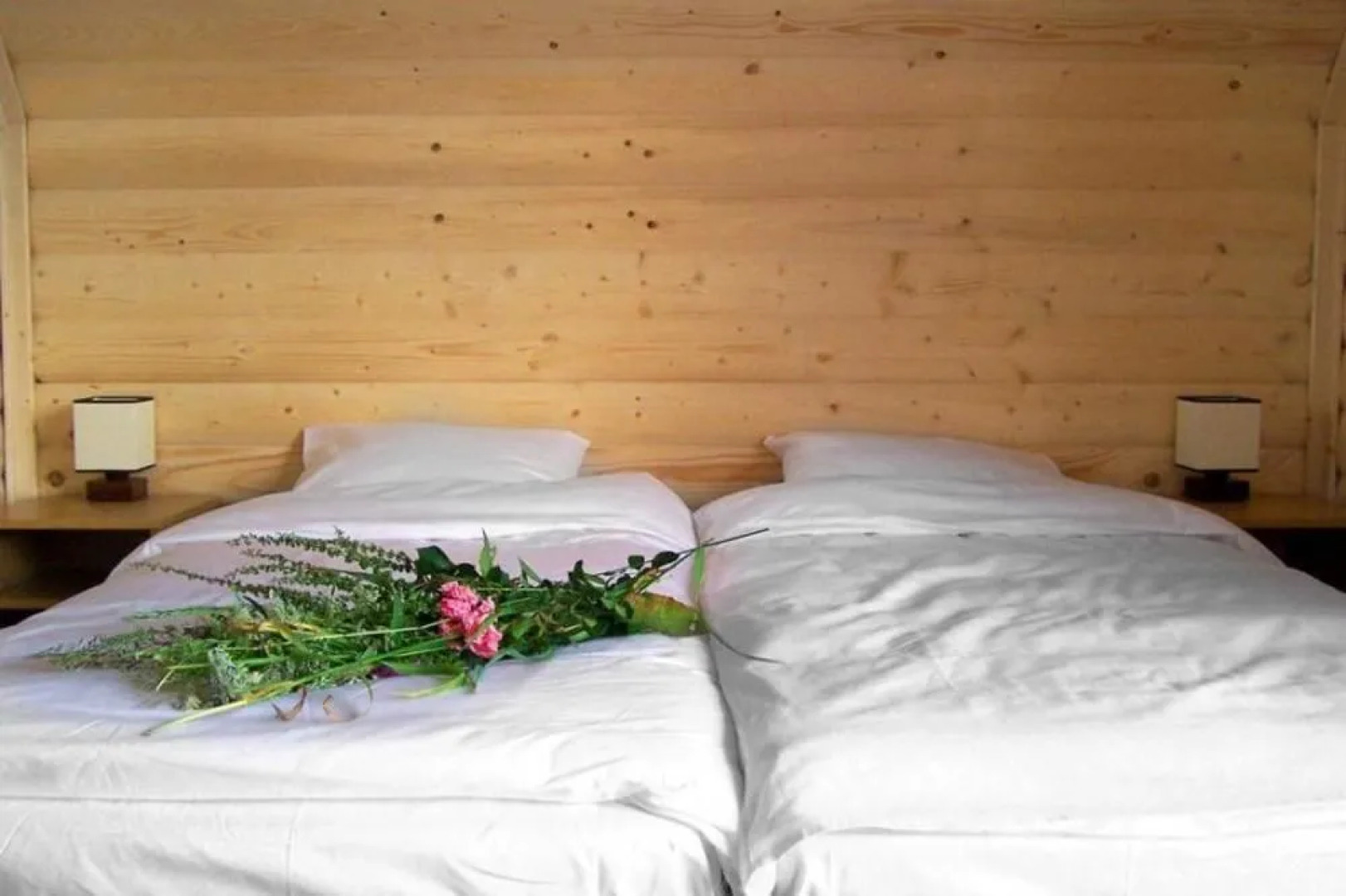 Willa na Olczańskim Wierchu