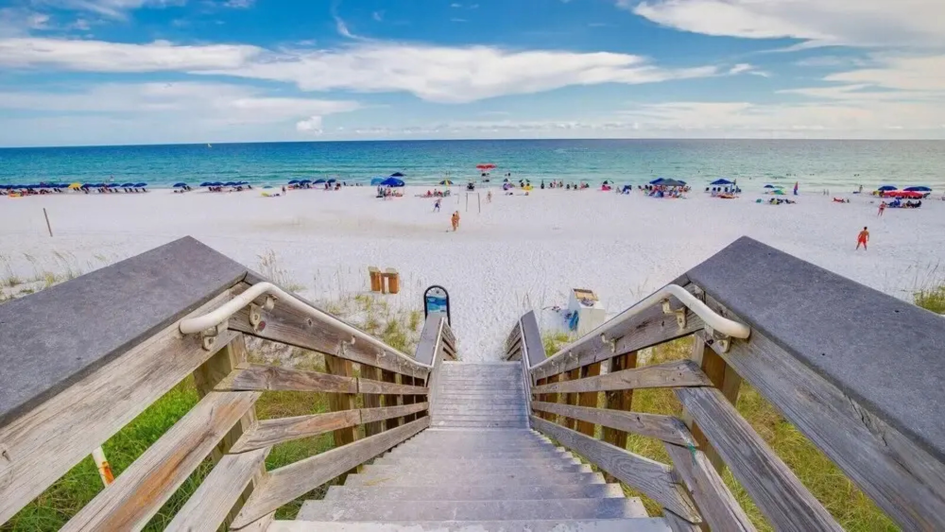 Mermaids and Magnolias