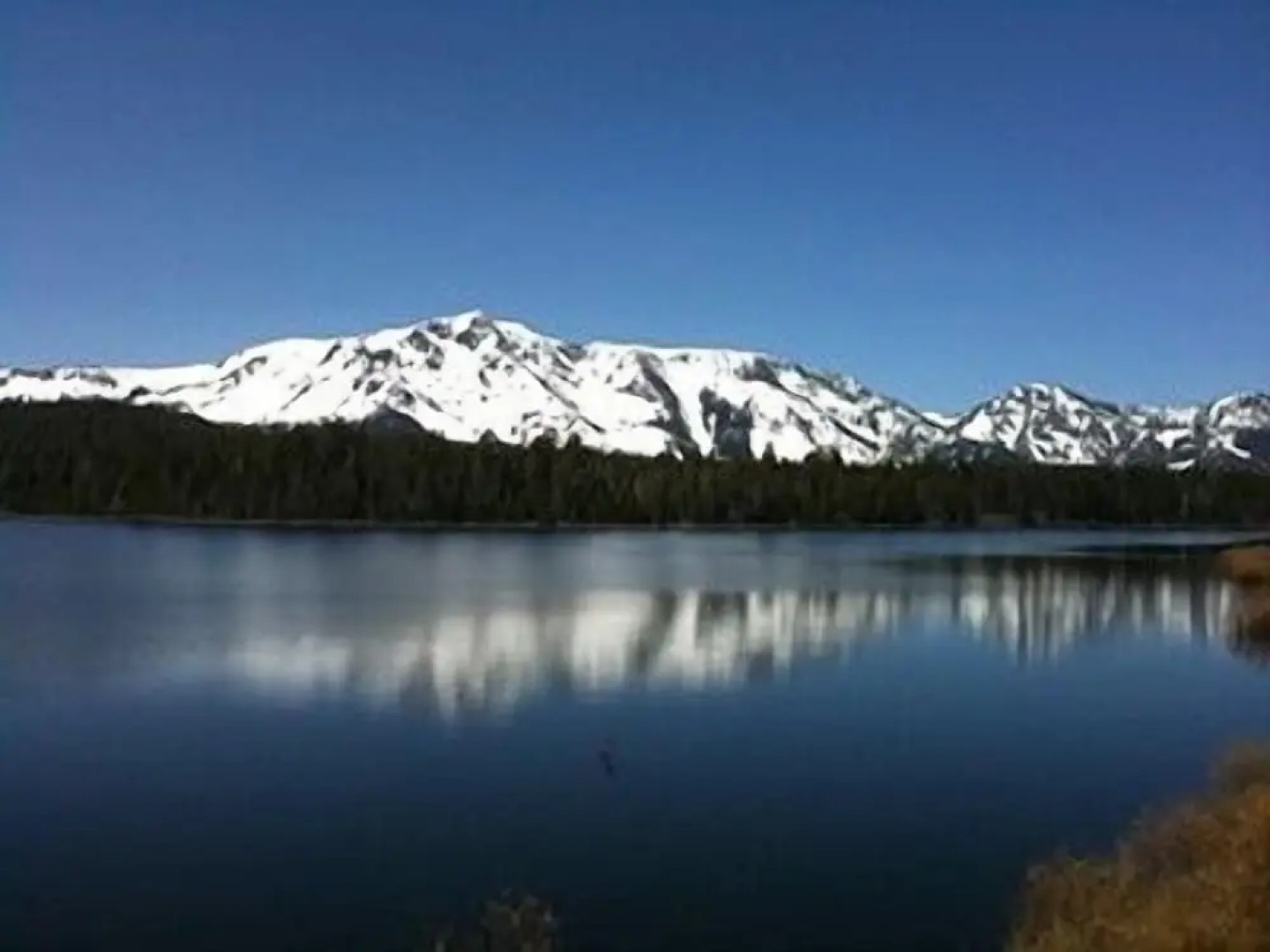 1712 Venice Drive by RedAwning