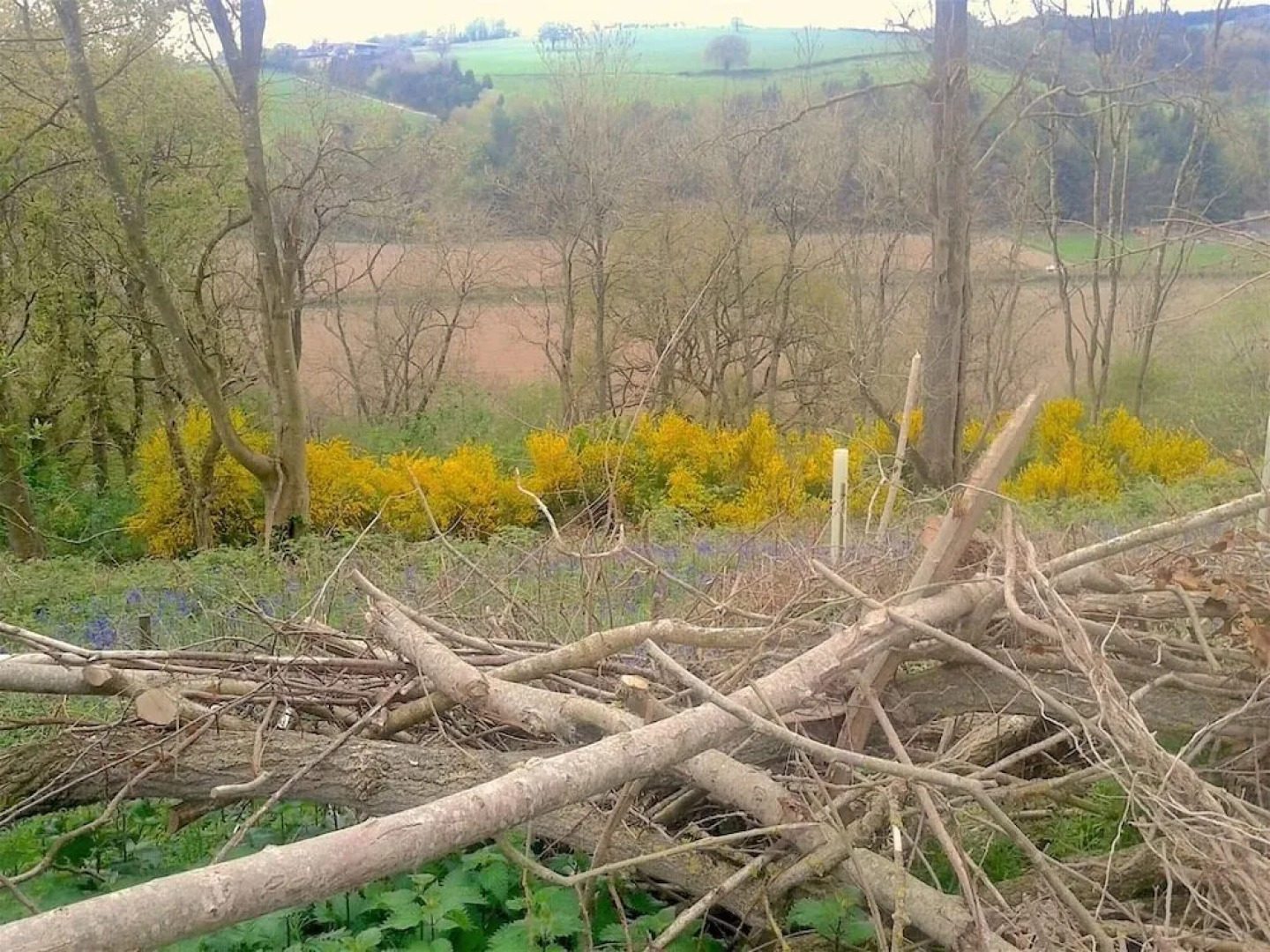 Mortimer Trail B & B