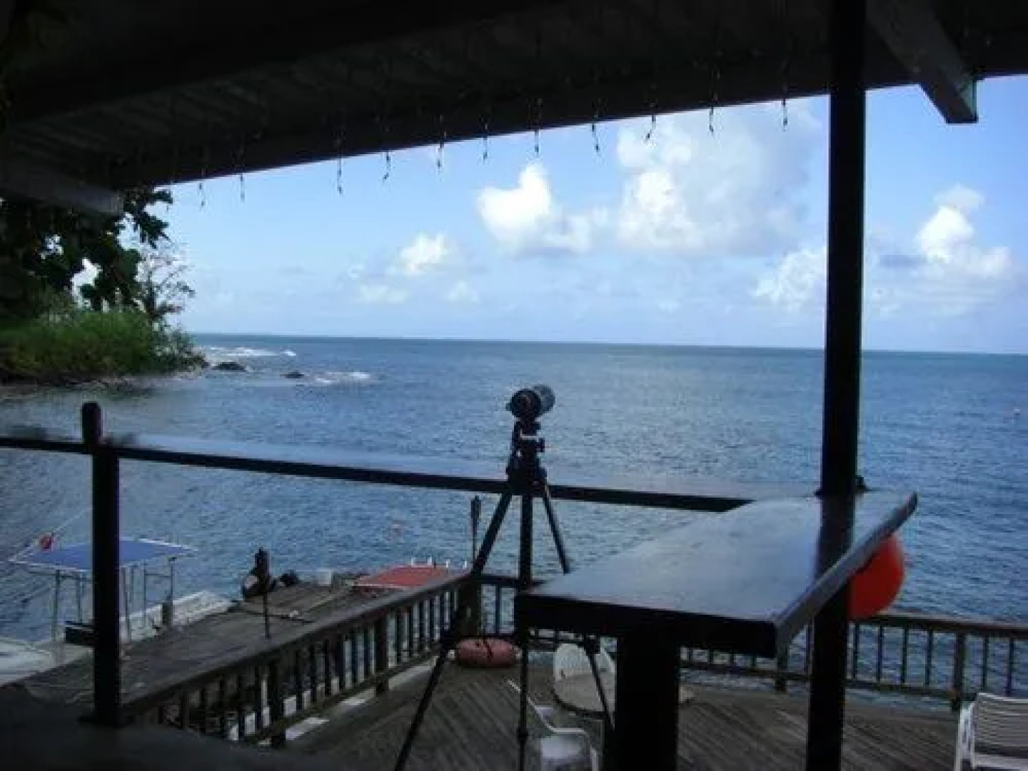 Panama Divers & Octopus Garden Dive Center