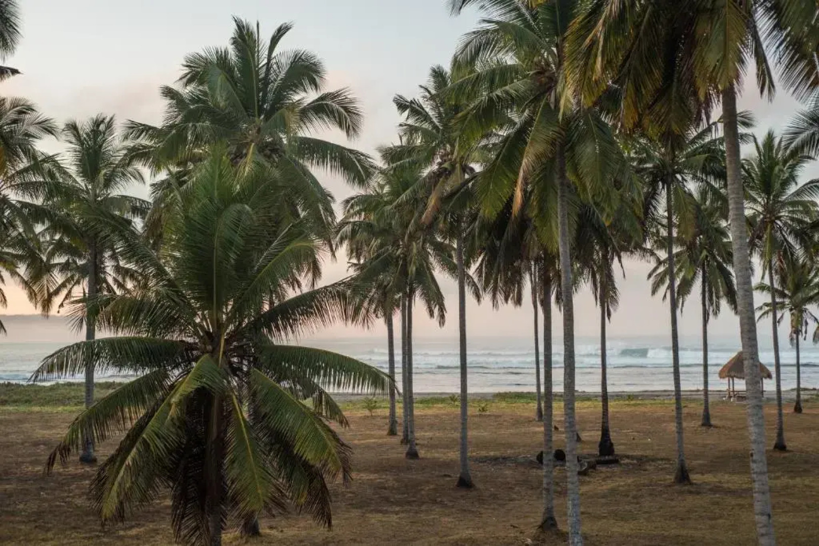 Alamayah Boutique Retreat Hotel & Villa