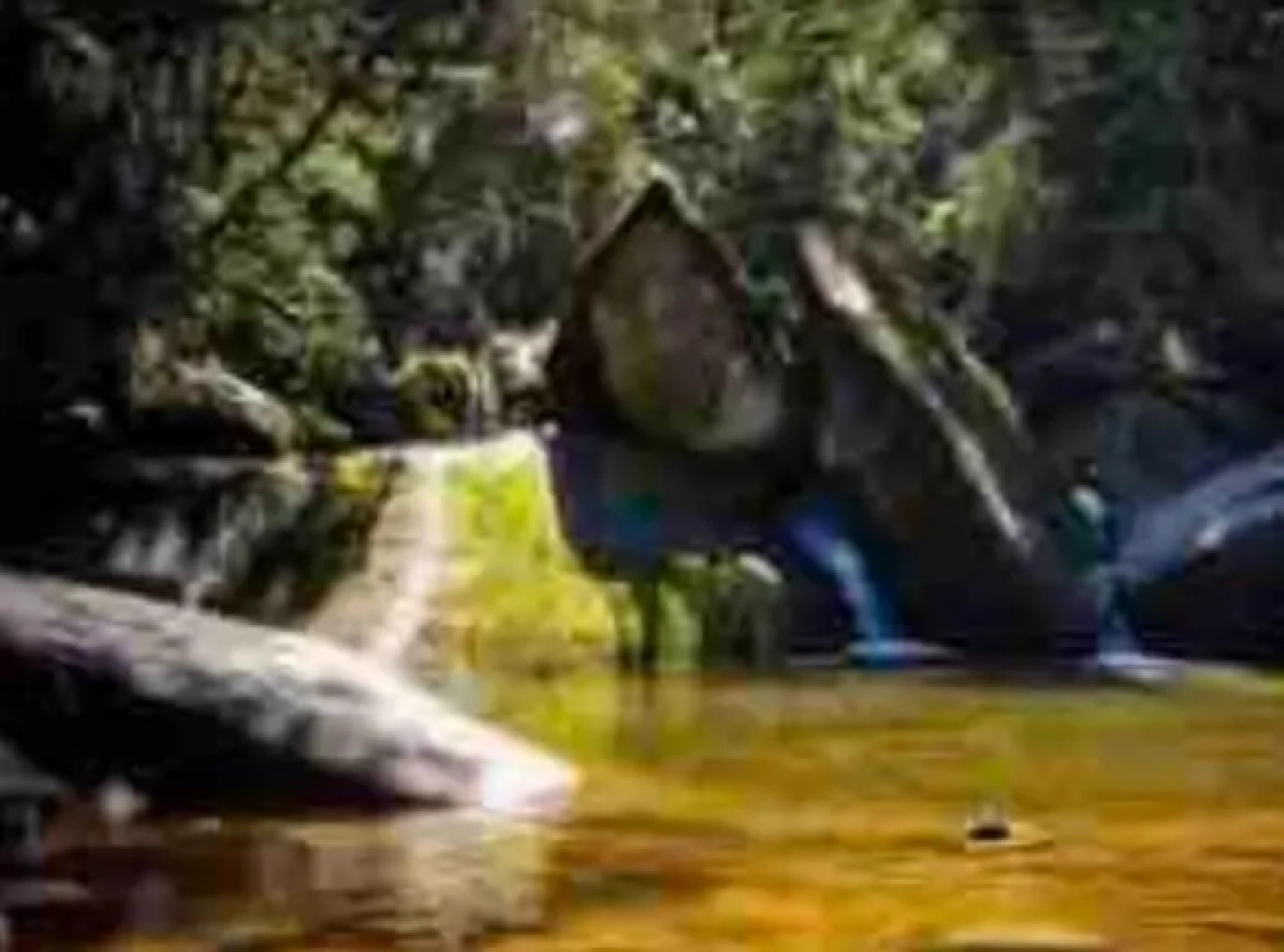 Casa com piscina próxima à cachoeira