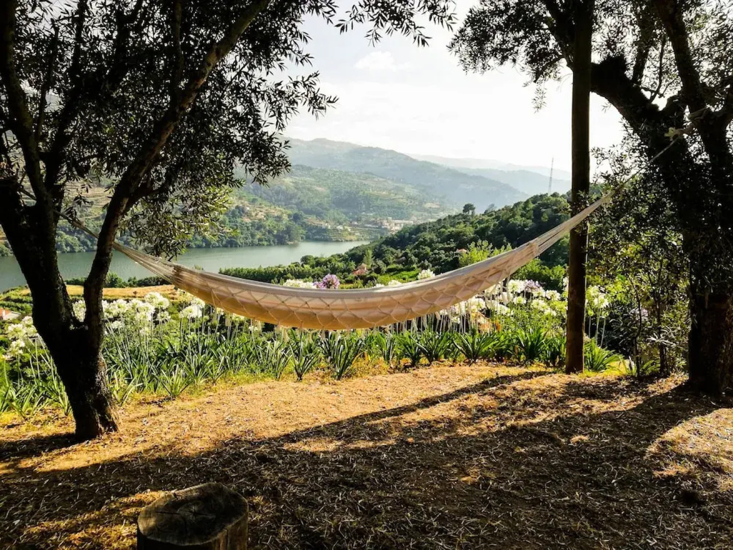 Casa da Mouta - Douro Valley