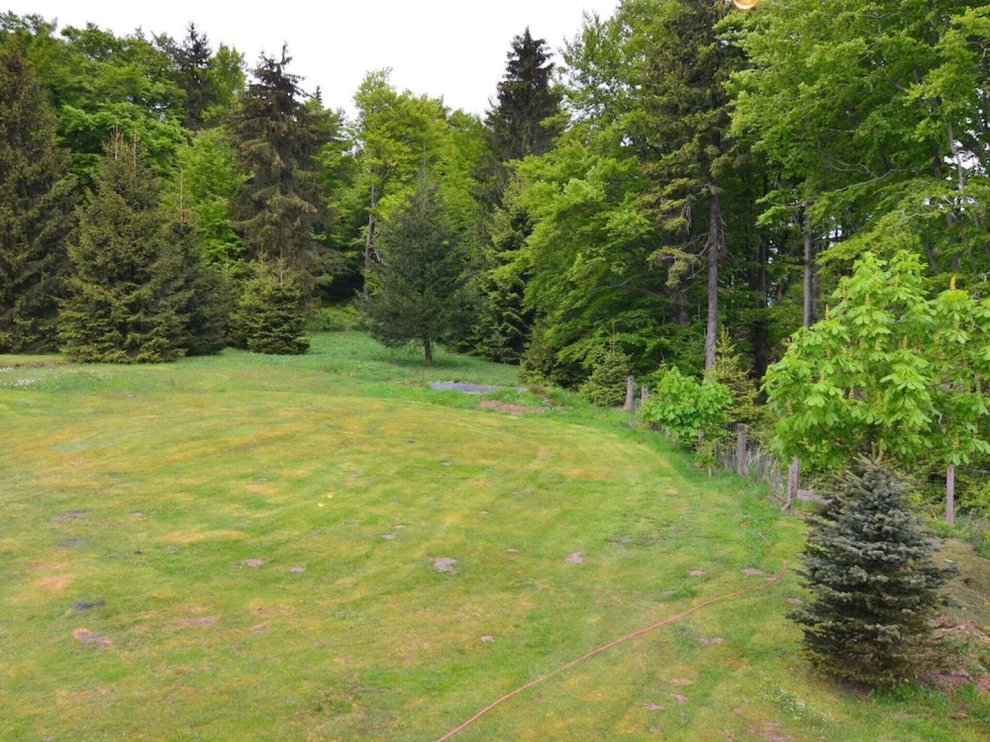 Modern Apartment in Tabarz/Thüringer Wald with Garden