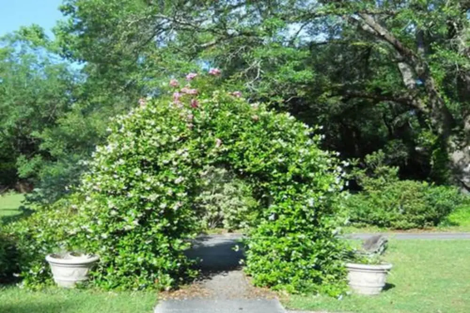 Woodridge Bed and Breakfast of Louisiana