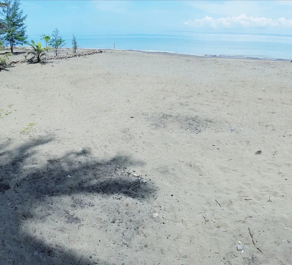 Golden Vine Beach Resort