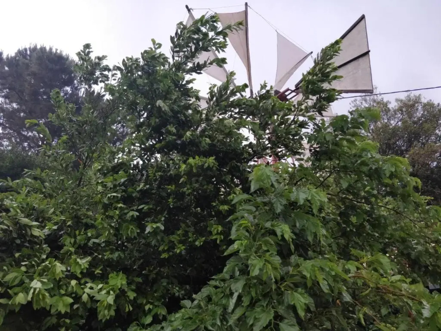 Dionysus Lasithi Plateau