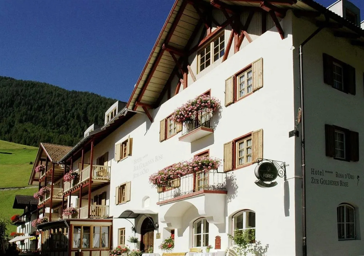 Goldene Rose Karthaus