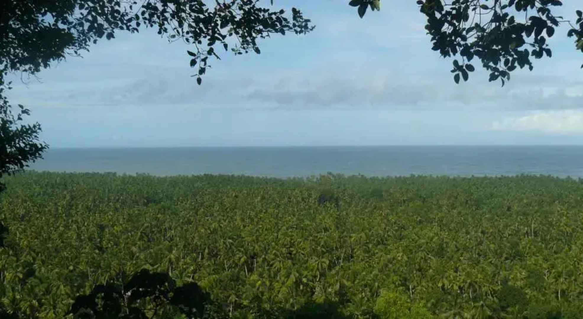 Ayurveda Healing Ashram