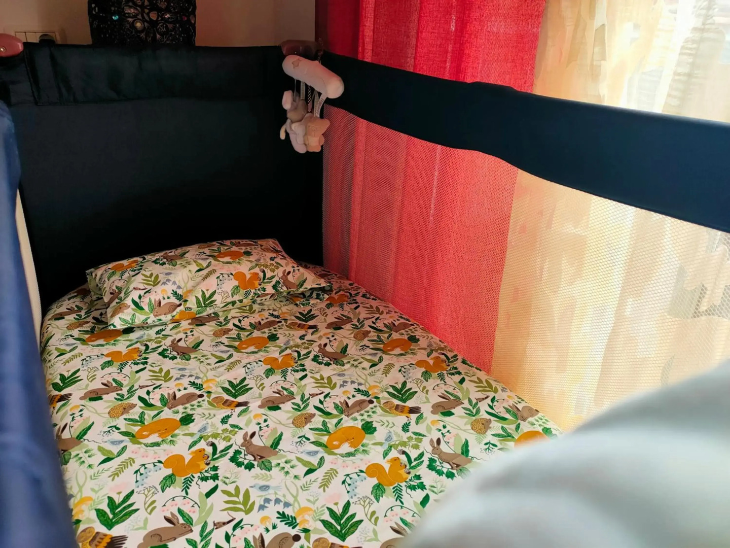 CASA RURAL FINCA El ROQUE