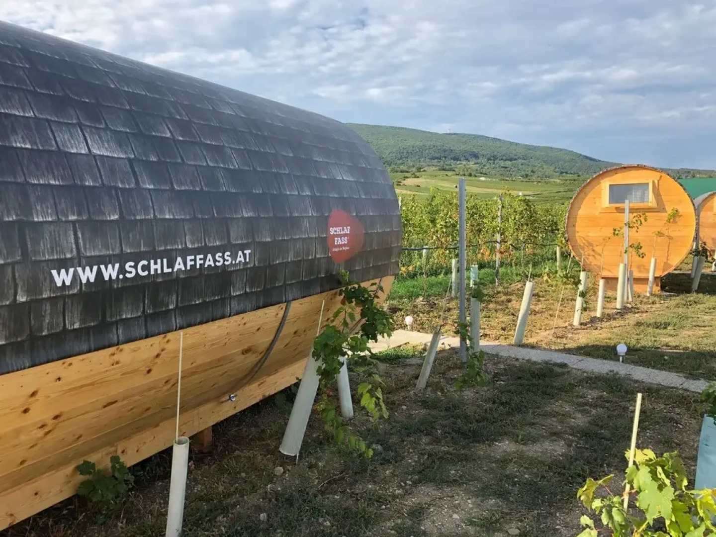 Schlaffass- Schlafen im Weinfass - Campsite