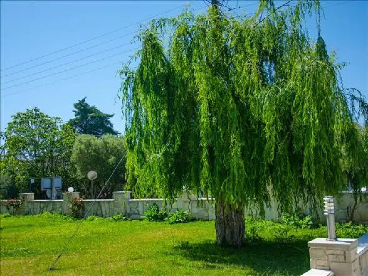 Paradisos Apartments