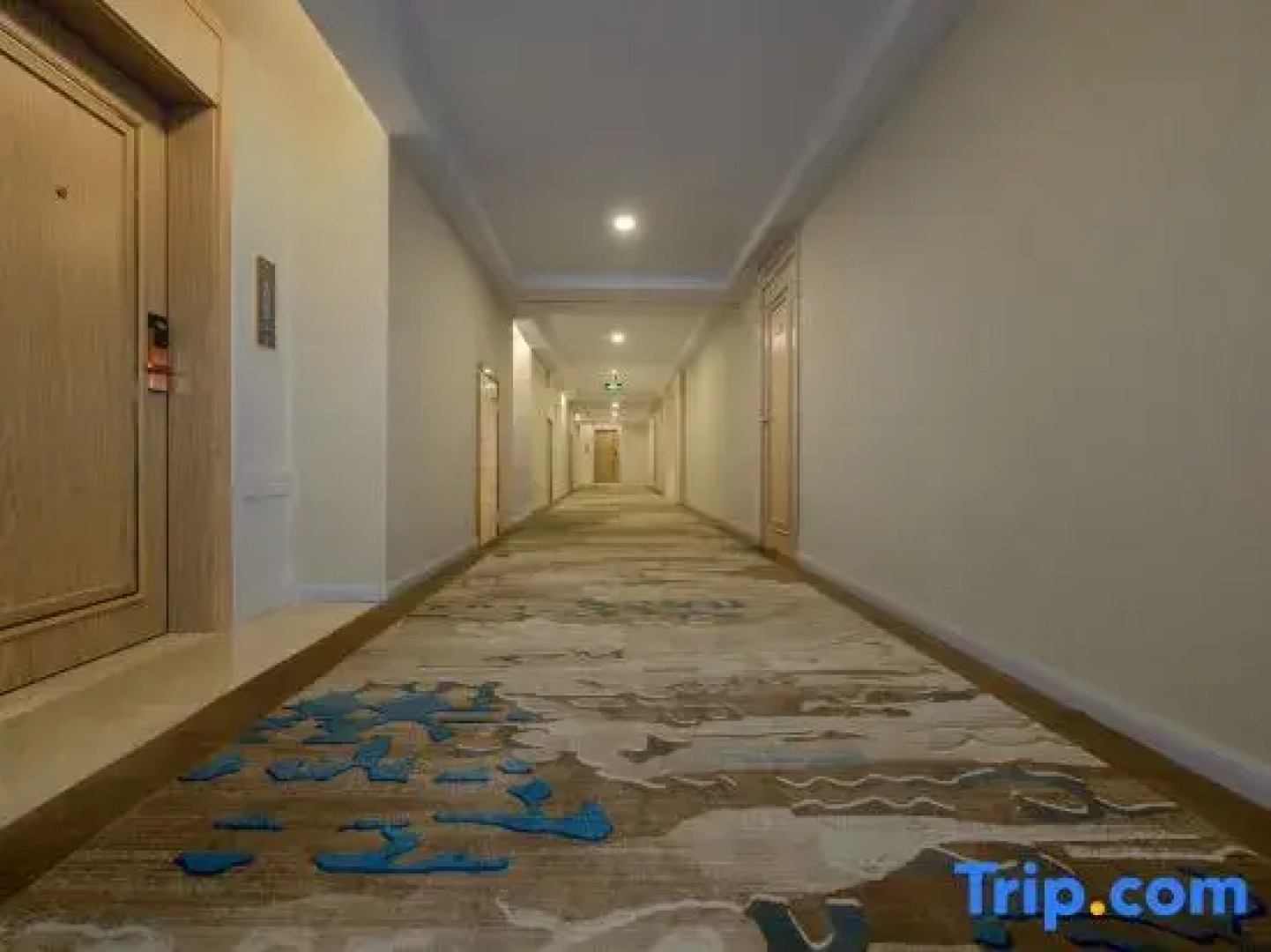 Vienna Hotel (Wuyuan Moore City store)