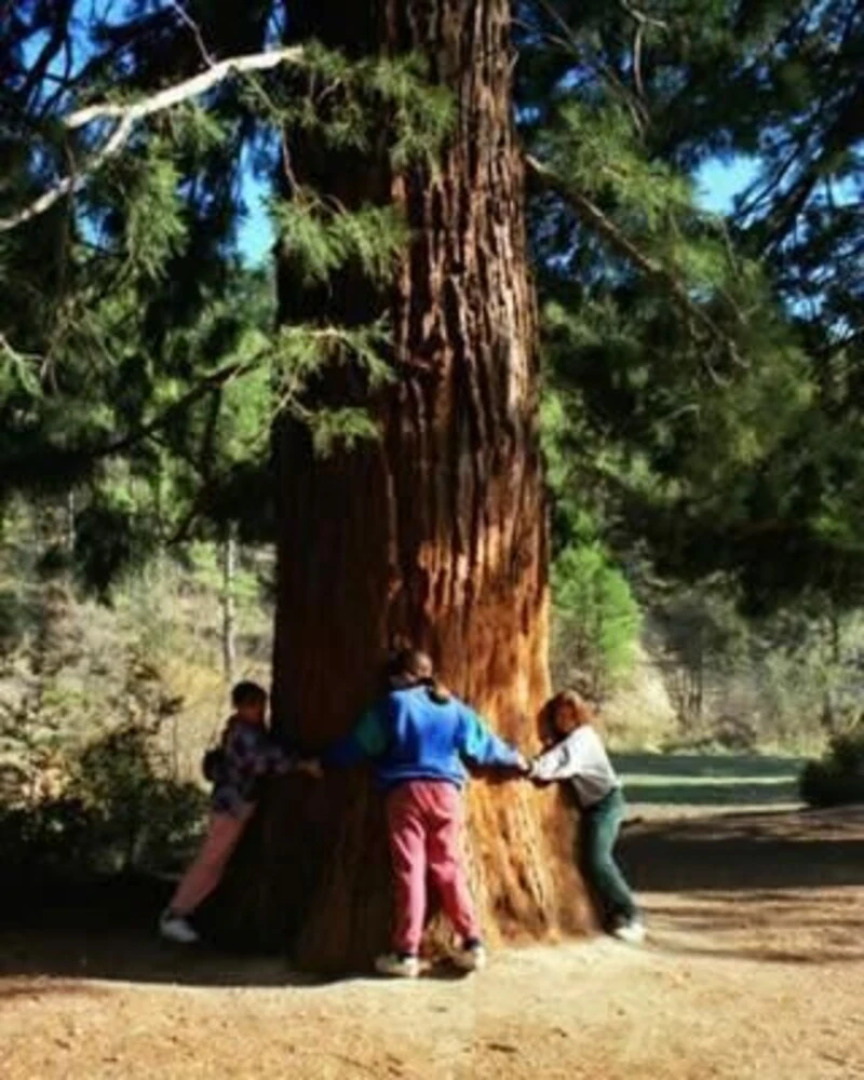 Casas Cuevas El Mirador