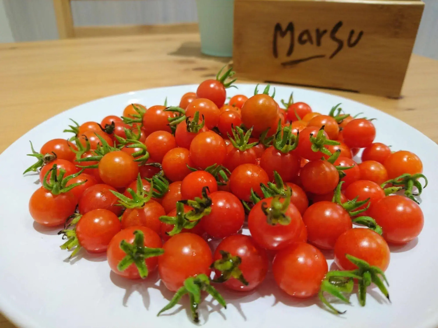 Marsu Xincheng SeaView Vegetarian B&B