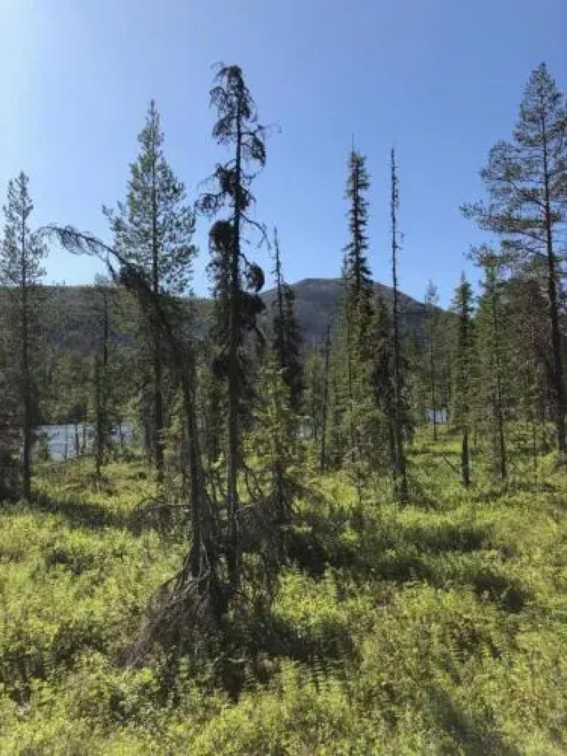 Ylläs Suistotie Cottage