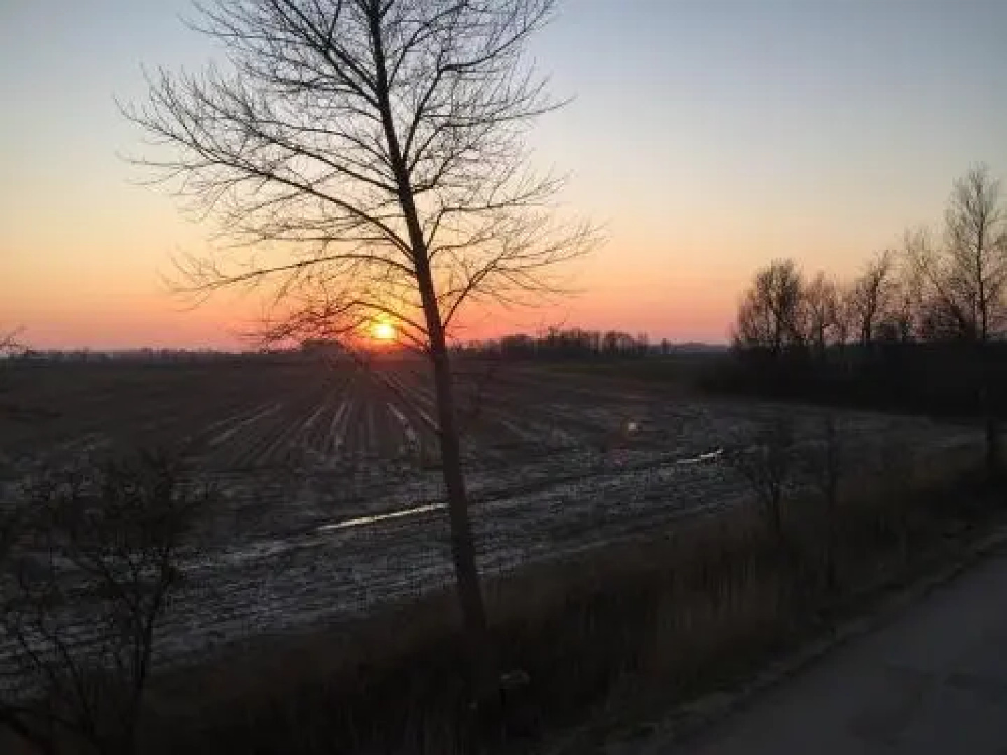 Ferienhaus-Hemmerdeich