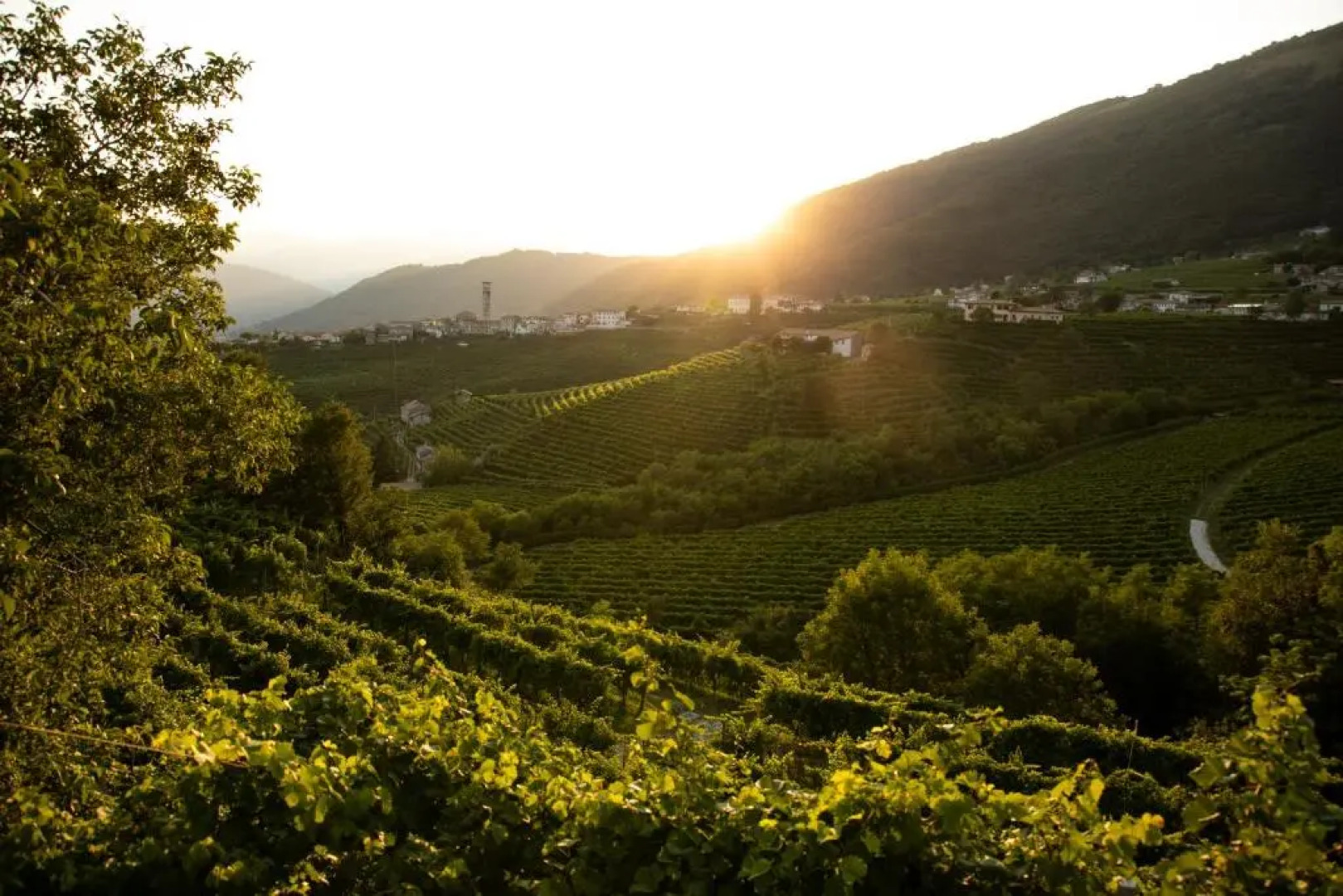 Oasi di pace nel sito UNESCO del Prosecco DOCG