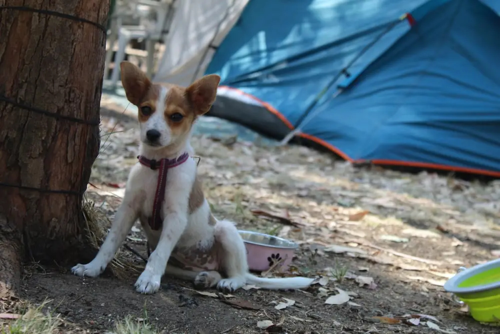 Village Camping Fico d'India