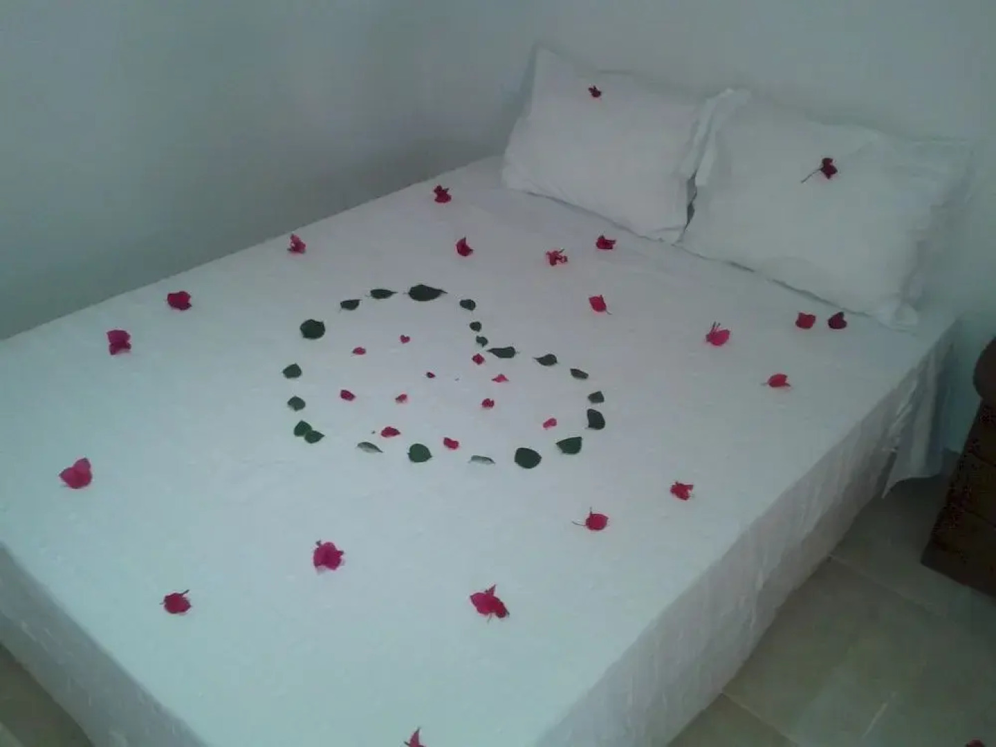 Pousada Casa Típica