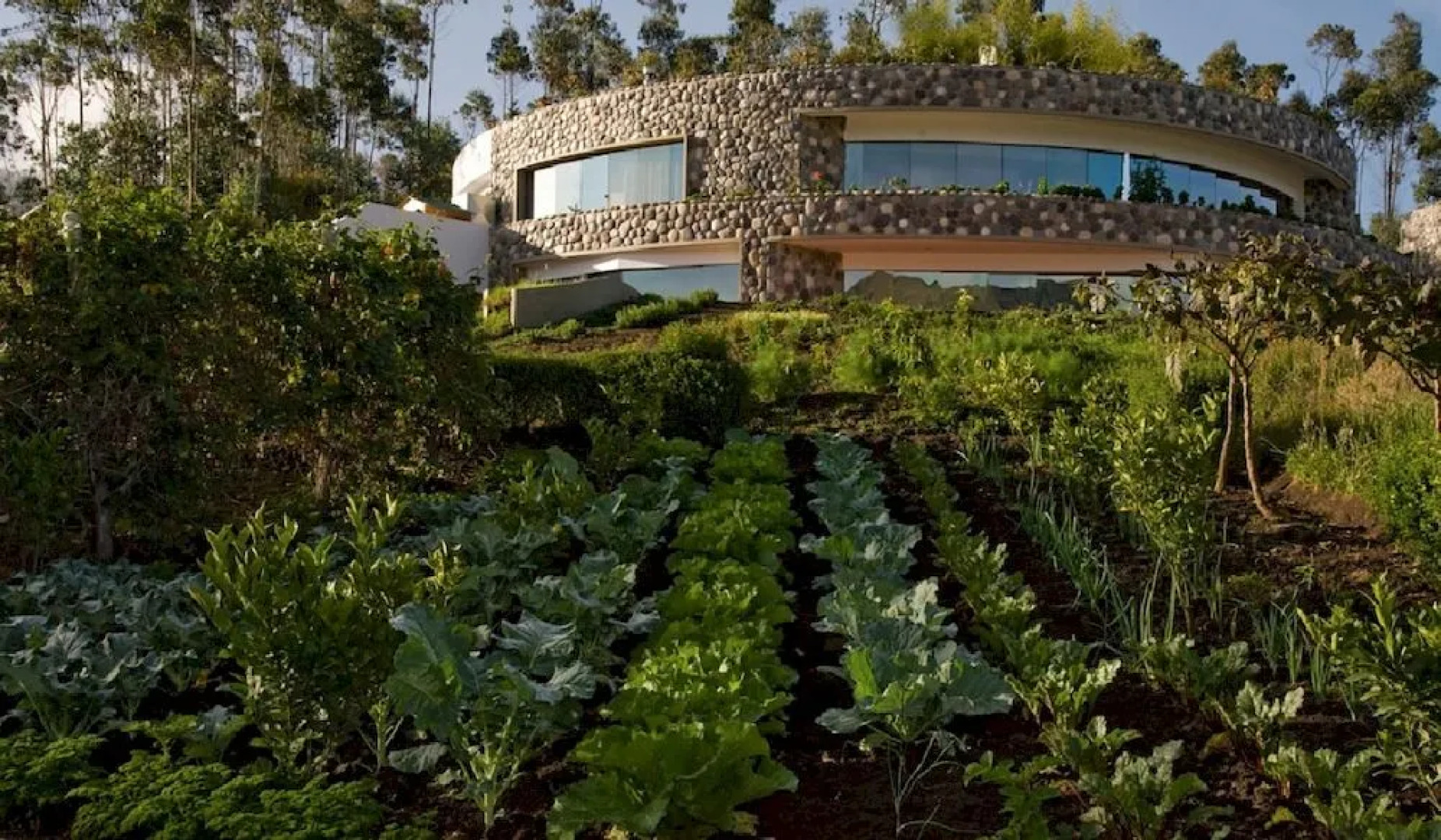 My SachaJi Wellness Ecolodge