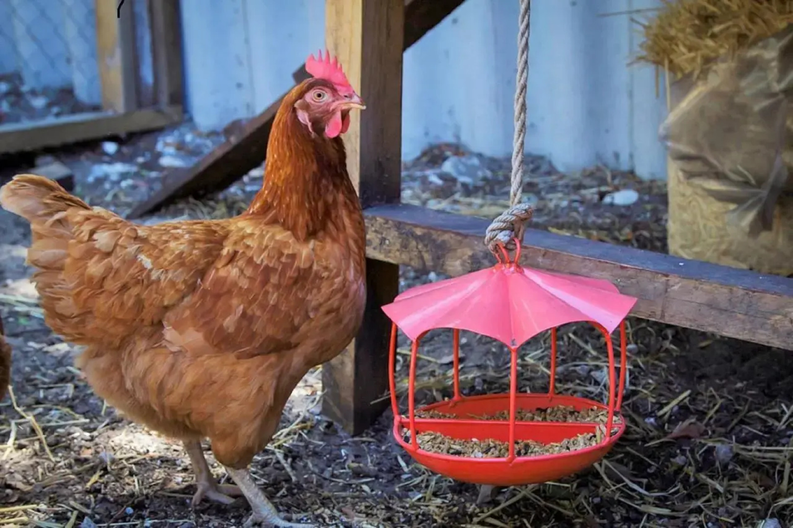 Yanchep Hacienda by the Sea