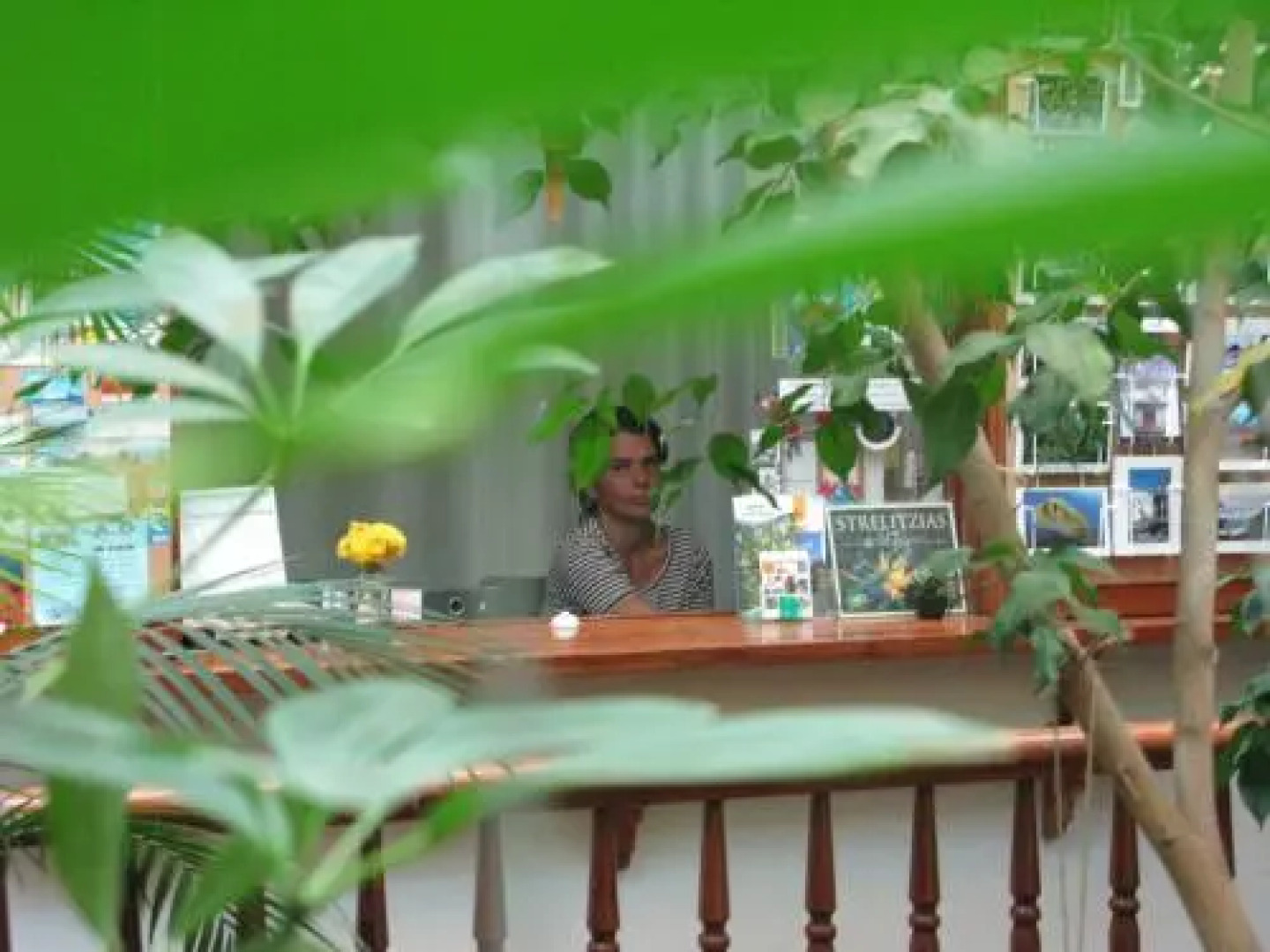 Apartamentos La Fuente