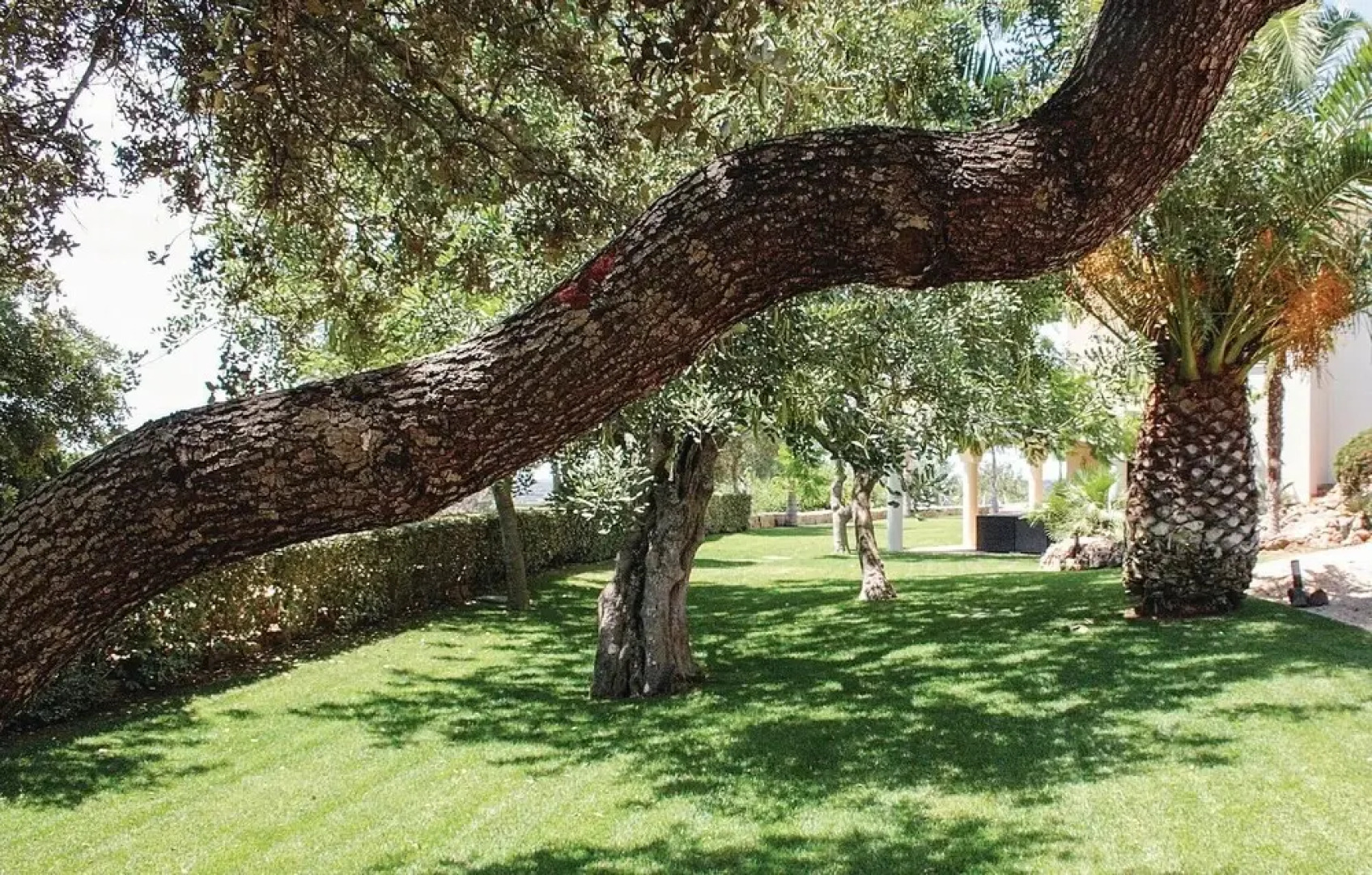 Stunning Home in Silves With Wifi and 4 Bedrooms