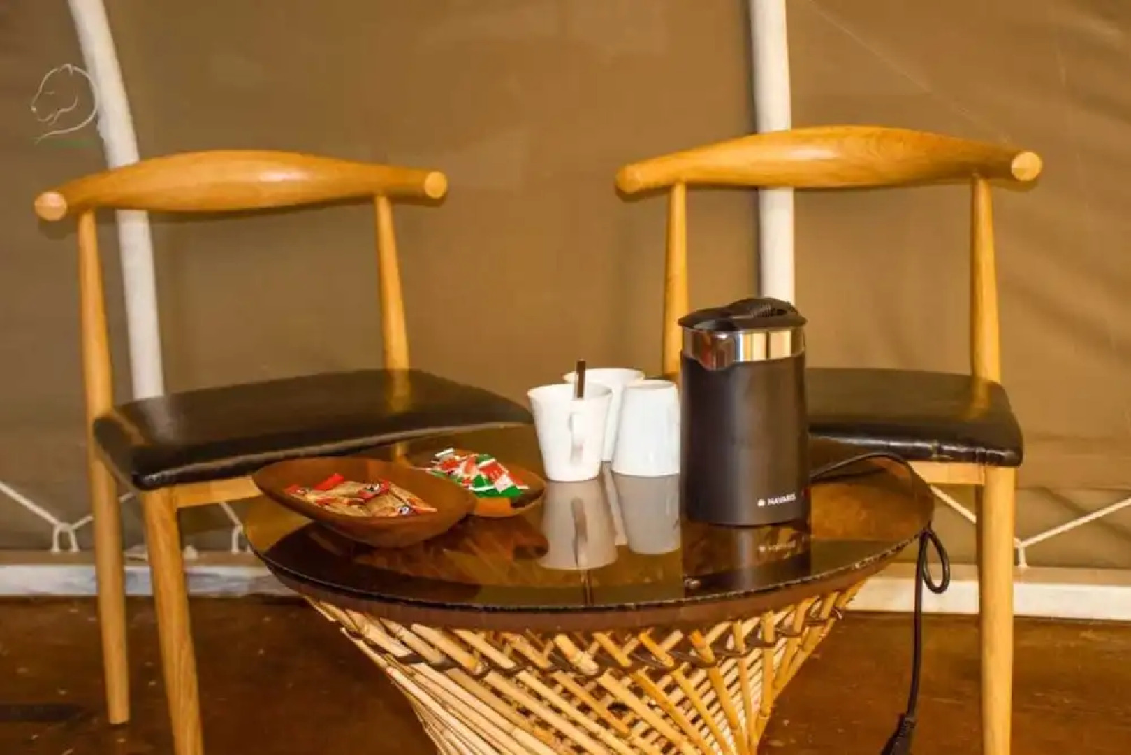 Amanya 2-rooms Lioness Family