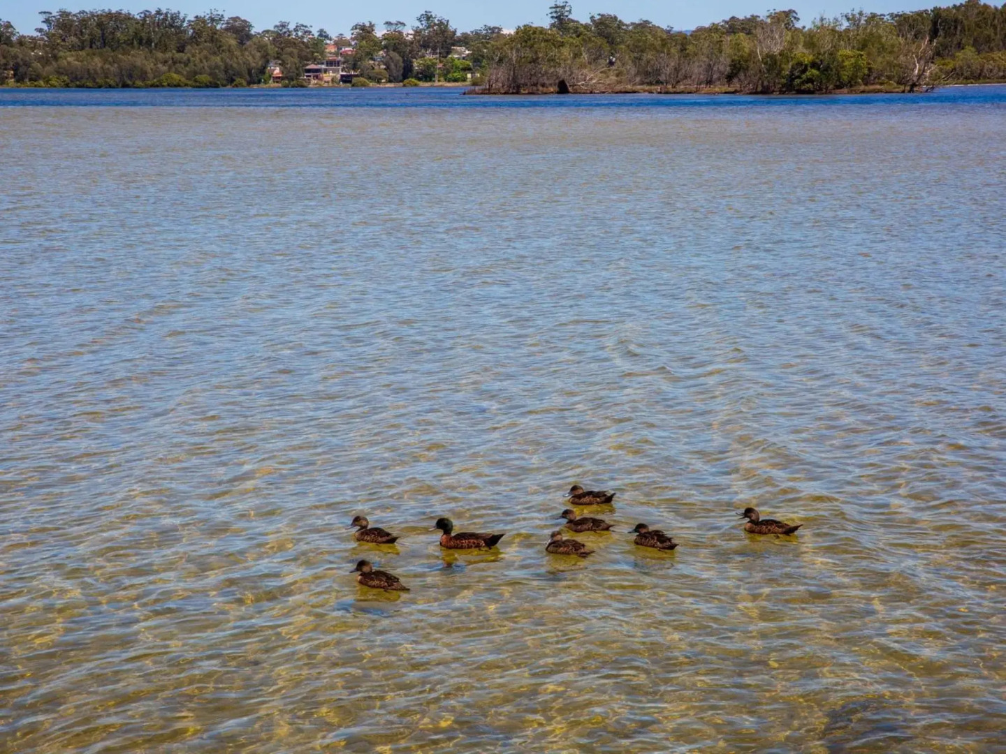 Bayview - Absolute Waterfront with Jetty - 5 Mins to Hyams Beach