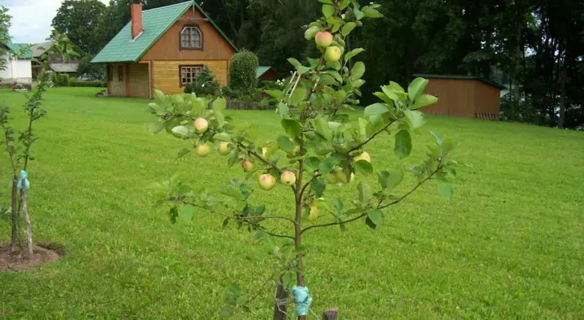 Holiday Home Dālderi