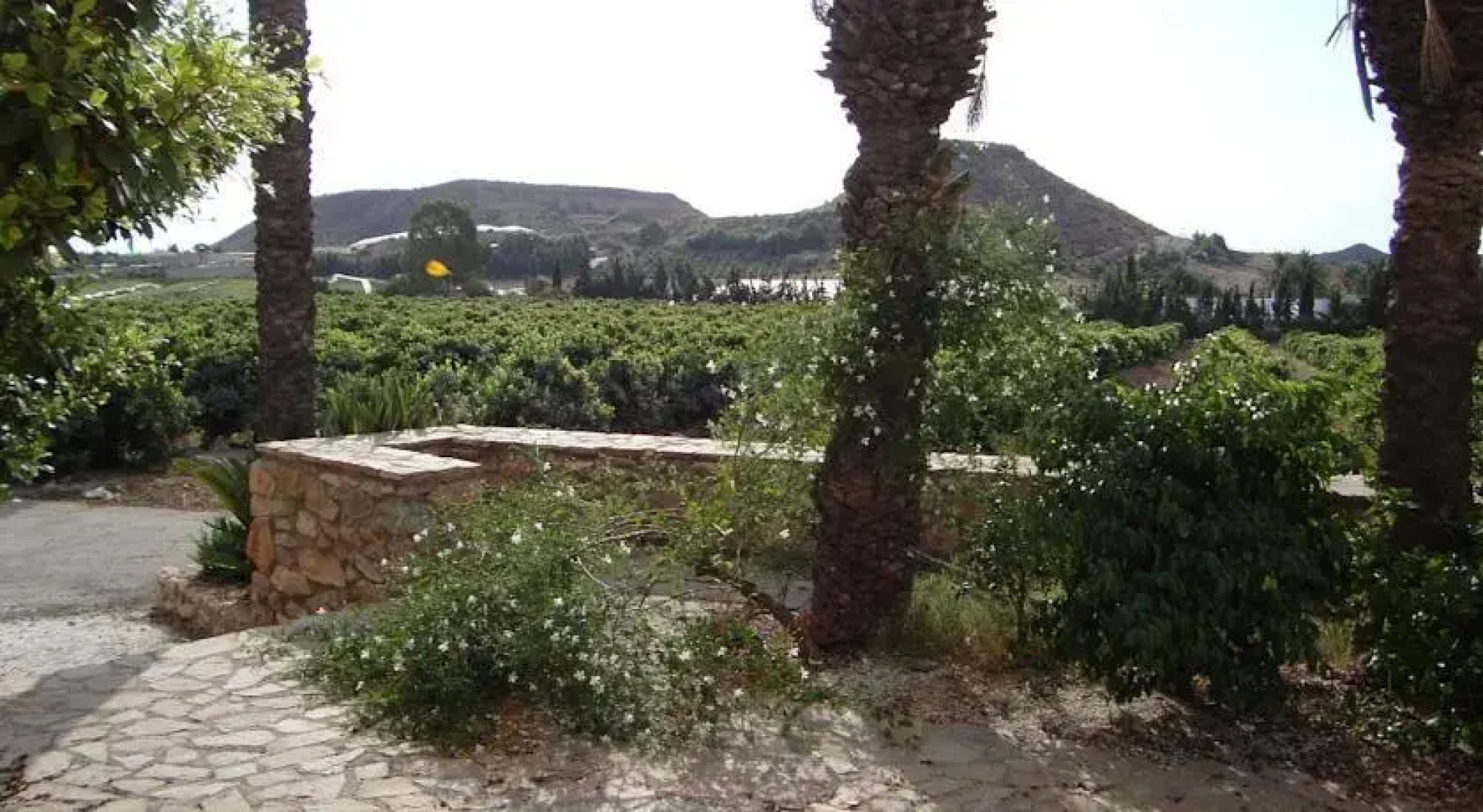 Villa Los Gorriones