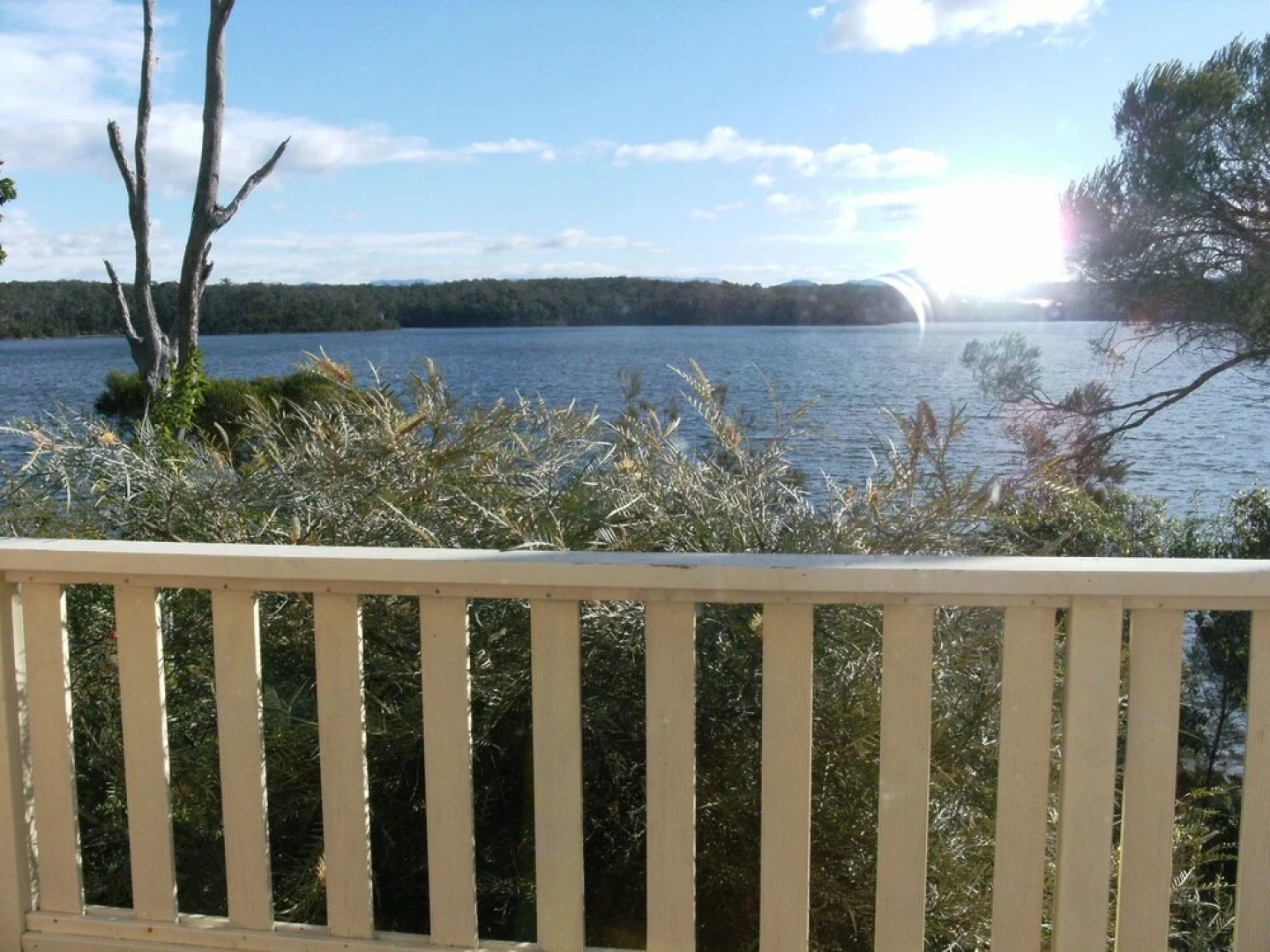 Regatta Point Holiday Park